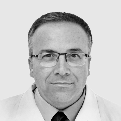 Domingo Triadó, Vicente