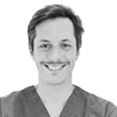 Ortega Gayoso, Guillermo